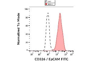 Surface staining of human MCF-7 cell line with anti-human CD326 / EpCAM (VU-1D9) FITC. (EpCAM antibody  (FITC))