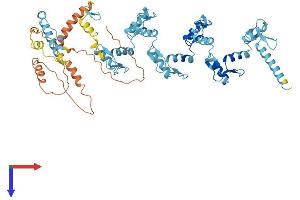 AlphaFold protein structure predicition of Human Recombinant ZNF431 Protein, UniprotID Q8TF32
