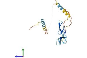 AlphaFold protein structure predicition of Human Recombinant CRIPTO3 Protein, UniprotID P51864 (Cripto-3 Protein (AA 1-188) (His tag))