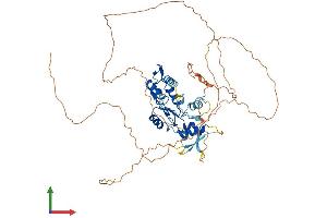 Protein Structure (PS) image for Zinc Finger Protein 280A (ZNF280A) (AA 1-542) protein (His tag) (ABIN7545713)