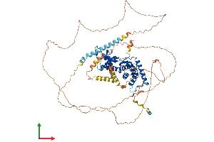 AlphaFold protein structure predicition of Mouse Recombinant Ccnt1 Protein, UniprotID Q9QWV9