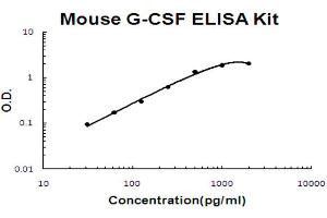 ELISA image for Colony Stimulating Factor 3 (Granulocyte) (CSF3) ELISA Kit (ABIN6720194)
