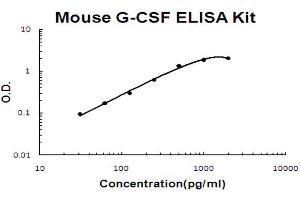Mouse G-CSF Accusignal ELISA Kit Mouse G-CSF AccuSignal ELISA Kit standard curve. (G-CSF ELISA Kit)