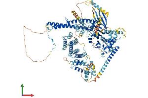 AlphaFold protein structure predicition of Human Recombinant USP25 Protein, UniprotID Q9UHP3 (USP25 Protein (AA 1-1055) (His tag))