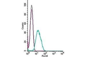 Cell surface detection of NTSR1 by indirect flow cytometry in live intact human promyelocytic leukemia  cells: + goat-anti-rabbit-PE.