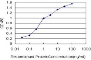 Detection limit for recombinant GST tagged BAIAP2L1 is approximately 0. (BAIAP2L1 antibody  (AA 398-511))