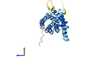 AlphaFold protein structure predicition of Human Recombinant HACD4 Protein, UniprotID Q5VWC8 (PTPLAD2 Protein (AA 1-232) (His tag))
