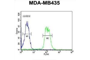 Flow Cytometry (FACS) image for anti-ATH1, Acid Trehalase-Like 1 (ATHL1) antibody (ABIN3002191) (ATHL1 antibody)