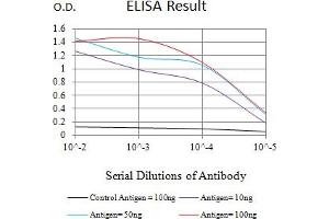 Black line: Control Antigen (100 ng),Purple line: Antigen (10 ng), Blue line: Antigen (50 ng), Red line:Antigen (100 ng) (CD300a antibody  (AA 18-180))