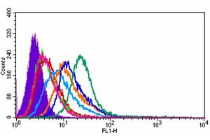 binding of increasing amounts of IgE(SUS-11) to recombinant rat RBL2H3 mast cells expressing the human high affinity IgE receptor (IgE Protein)