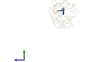 Protein Structure (PS) image for Microtubule-associated Tumor Suppressor Candidate 2 (MTUS2) (AA 1-1369) protein (His tag) (ABIN7554634)