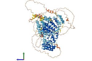 AlphaFold protein structure predicition of Mouse Recombinant Slf1 Protein, UniprotID Q8R3P9 (ANKRD32 Protein (AA 1-1054) (His tag))
