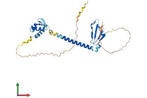 Protein Structure (PS) image for E2F Transcription Factor 6 (E2F6) (AA 1-281) protein (His tag) (ABIN7547202)