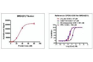 Screening Assay (ScA) image for Bromodomain Containing 4 (BRD4) (AA 44-168) protein (His tag,DYKDDDDK Tag) (ABIN2669645)