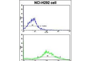 Flow cytometric analysis of NCI-H292 cells using CYP20A1 Antibody (bottom histogram) compared to a negative control cell (top histogram).
