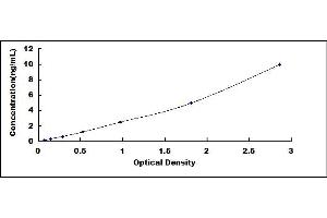 MYOD1 ELISA Kit