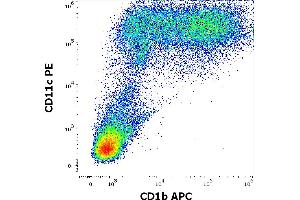 Flow cytometry multicolor surface staining pattern of human stimulated (GM-CSF + IL-4) peripheral blood mononuclear cells using anti-human CD1b (SN13) APC antibody (10 μL reagent per milion cells in 100 μL of cell suspension) and anti-human CD11c (BU15) PE antibody (20 μL reagent per milion cells in 100 μL of cell suspension). (CD1b antibody  (APC))