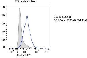 Flow Cytometry of Rabbit anti-Cyclin D3 antibody. (Cyclin D3 antibody  (C-Term))