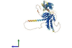 AlphaFold protein structure predicition of Human Recombinant MCF2 Protein, UniprotID P10911