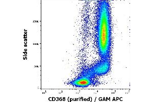Flow cytometry surface staining pattern of human peripheral whole blood stained using anti-human CD368 (9B9) purified antibody (concentration in sample 5 μg/mL, GAM APC). (CLEC4D antibody)