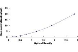 Typical standard curve (IL13RA2 ELISA Kit)