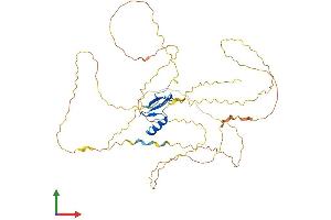 Protein Structure (PS) image for Methyl CpG Binding Protein 2 (MECP2) (AA 1-486) protein (His tag) (ABIN7549281)