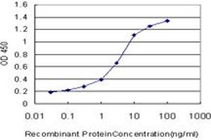 Detection limit for recombinant GST tagged QPCT is approximately 0. (QPCT antibody  (AA 262-359))