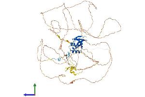 AlphaFold protein structure predicition of Mouse Recombinant Skida1 Protein, UniprotID Q80YR3 (SKIDA1 Protein (AA 1-822) (His tag))