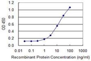 ELISA image for anti-Acyl-CoA Thioesterase 7 (ACOT7) (AA 1-339) antibody (ABIN599527) (ACOT7 antibody  (AA 1-339))