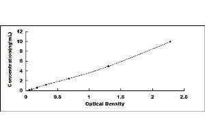 UCP2 ELISA Kit