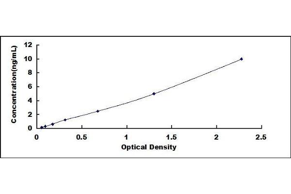 UCP2 ELISA Kit