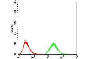 Flow cytometric analysis of Jurkat cells using MDM2 mouse mAb (green) and negative control (red). (MDM2 antibody)