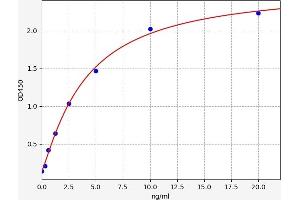 Typical standard curve (Endonuclease G ELISA Kit)