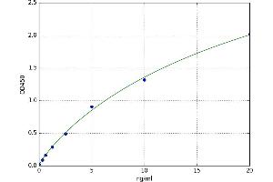Early Growth Response 2 (EGR2) ELISA Kit