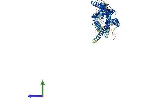Protein Structure (PS) image for Lysophosphatidic Acid Receptor 1 (LPAR1) (AA 1-364) protein (His tag) (ABIN7563496)