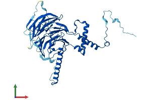 AlphaFold protein structure predicition of Human Recombinant DCAF13 Protein, UniprotID Q9NV06