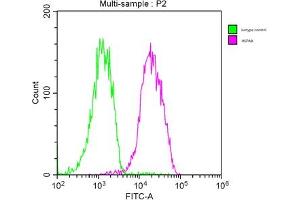 Overlay histogram showing MCF-7 cells stained with ABIN7154884 (red line). (Hsc70 antibody  (AA 2-646))