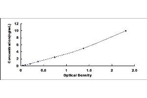 Typical standard curve (IL12RB2 ELISA Kit)