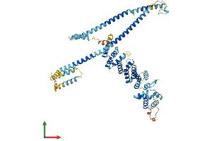 AlphaFold protein structure predicition of Mouse Recombinant Clhc1 Protein, UniprotID Q5M6W3 (C2orf63 Protein (AA 1-596) (His tag))