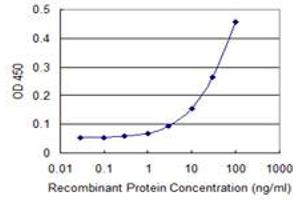 Detection limit for recombinant GST tagged TNIK is 1 ng/ml as a capture antibody. (TNIK antibody  (AA 1-110))