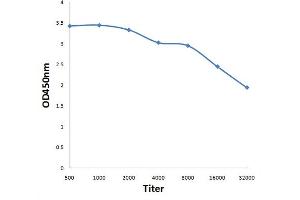 Antigen: 0. (STIP1 antibody)