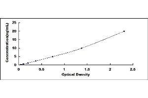 Typical standard curve (FOXP3 ELISA Kit)