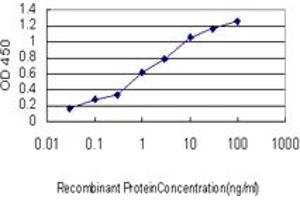 Detection limit for recombinant GST tagged STAU2 is approximately 0. (Double-stranded RNA-binding protein Staufen homolog 2 (STAU2) (AA 2-90) antibody)
