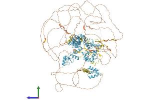 AlphaFold protein structure predicition of Human Recombinant ZNF592 Protein, UniprotID Q92610 (ZNF592 Protein (AA 1-1267) (His tag))