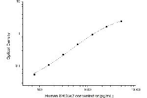 SRD5A2 ELISA Kit