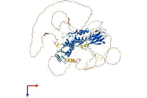 Nibrin Protein (NBN) (AA 1-751) (His tag)