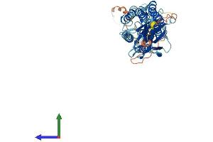 Protein Structure (PS) image for Transmembrane Protein 8B (TMEM8B) (AA 1-472) protein (His tag) (ABIN7544463)