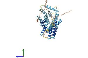 AlphaFold protein structure predicition of Human Recombinant SLC35F3 Protein, UniprotID Q8IY50