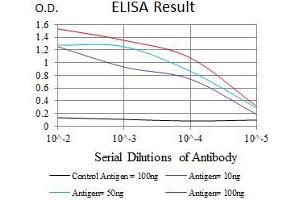 Black line: Control Antigen (100 ng), Purple line: Antigen(10 ng), Blue line: Antigen (50 ng), Red line: Antigen (100 ng), (Purinergic Receptor P2Y, G-Protein Coupled, 13 (P2RY13) (AA 1-49) antibody)