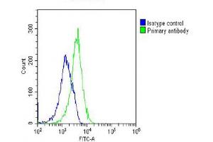 Overlay histogram showing U-2 OS cells stained with (ABIN6242957 and ABIN6577252)(green line). (GNMT antibody  (AA 1-295))